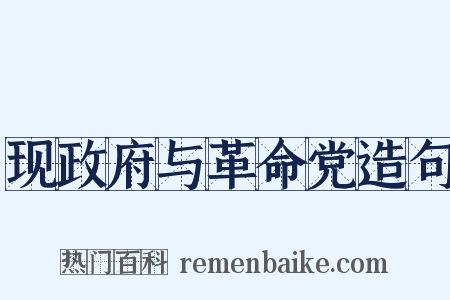 现政府与革命党造句是什么意思的图片